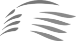 Logo du train à grande vitesse de Taïwan
